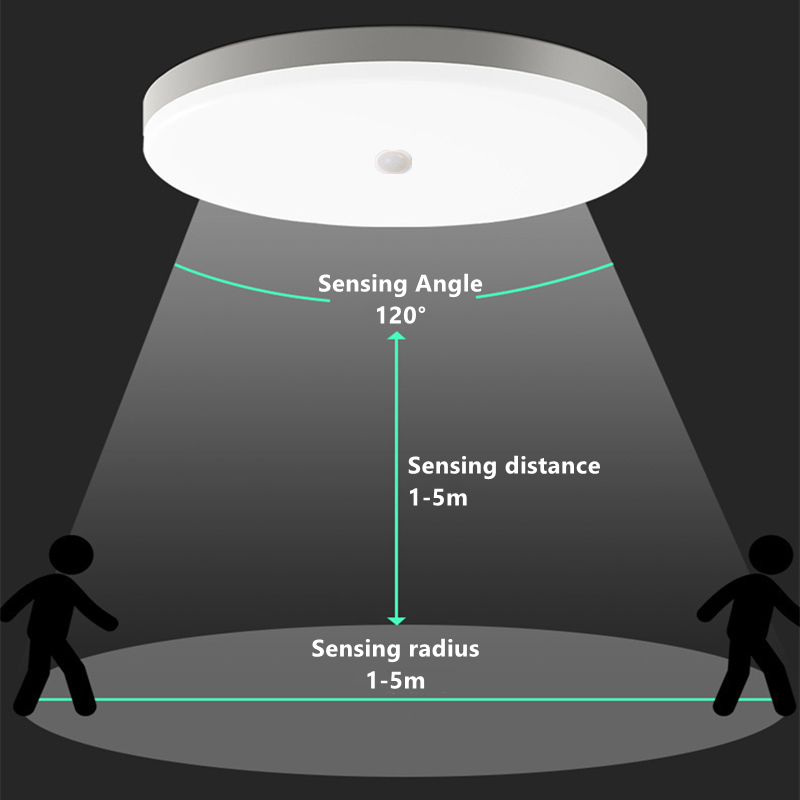 Waterproof LED Ceiling Lamp PI - Outdoor Lighting Amazon 评论和价格