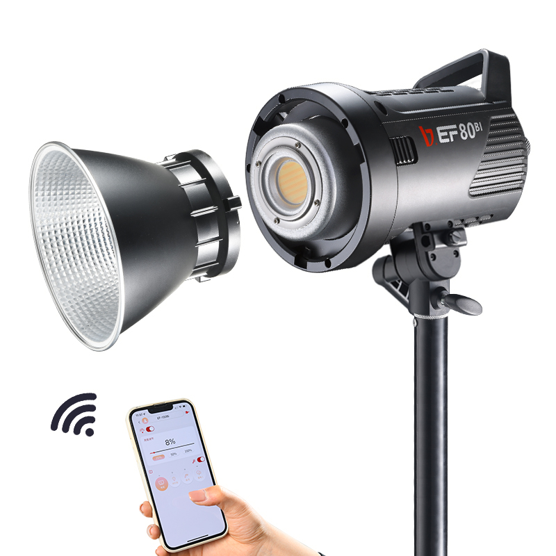 JINBEI EF-80Bi Handheld LED Vi - Outdoor Lighting Video 评论和价格
