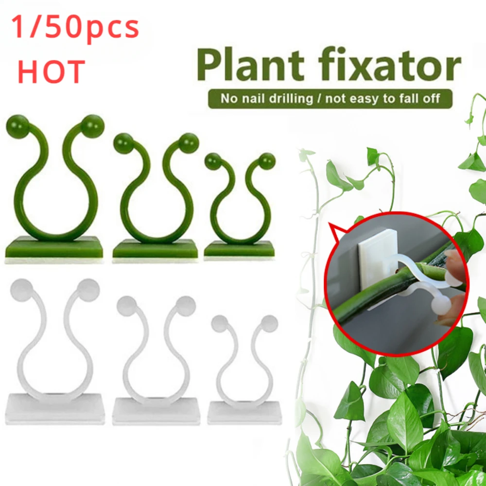1/30/50Pcs For Garden Accsesor - Outdoor Lighting Amazon 评论和价格
