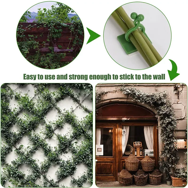 1/30/50Pcs For Garden Accsesor - Outdoor Lighting Amazon 评论和价格