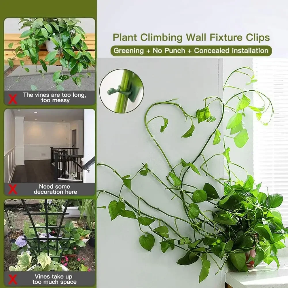 1/30/50Pcs For Garden Accsesor - Outdoor Lighting Amazon 评论和价格